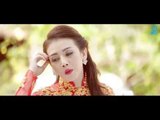 Nhạc Xuân Mới Nhất 2017 - Nhạc Xuân Chọn Lọc Hay Nhất - Tết Đinh Dậu 2017