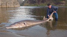 Amazing Fishing for Prehistoric Dinosaurs in Russia