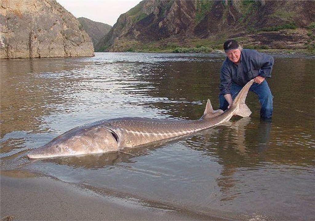 Amazing Fishing for Prehistoric Dinosaurs in Russia