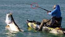 Broken fishing rods compilation | Big fish breaks fishing rods