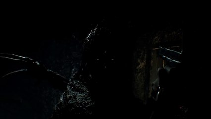Resident Evil 7 biohazard - Vol.9 "Shadow"