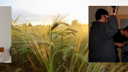 Zemela 'Horses' video presentation at Sofia Life Club