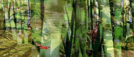 third-test-recording