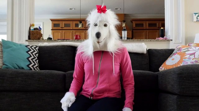 Human Dogs in Real Life - Baking Puppy Treats IRL Doggy Daycare Episode- part1