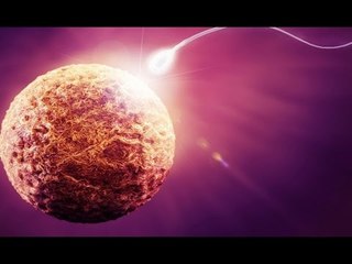 10 sự thật thú vị về cơ thể con người không phải ai cũng biết | Việt Vivu |