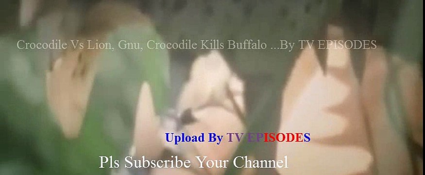 Crocodile Vs Lion, Gnu, Crocodile Kills Buffalo Real Fight Most Amazing Animals Attack Hd 2016