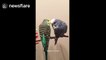Two birds can't stop kissing each other