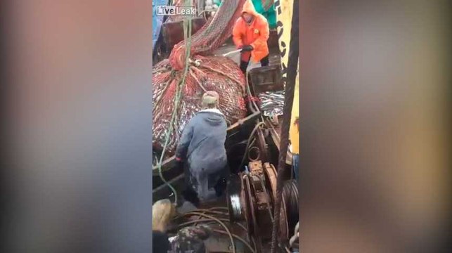 Il n'y avait pas que du poisson dans leurs filets de pêche...