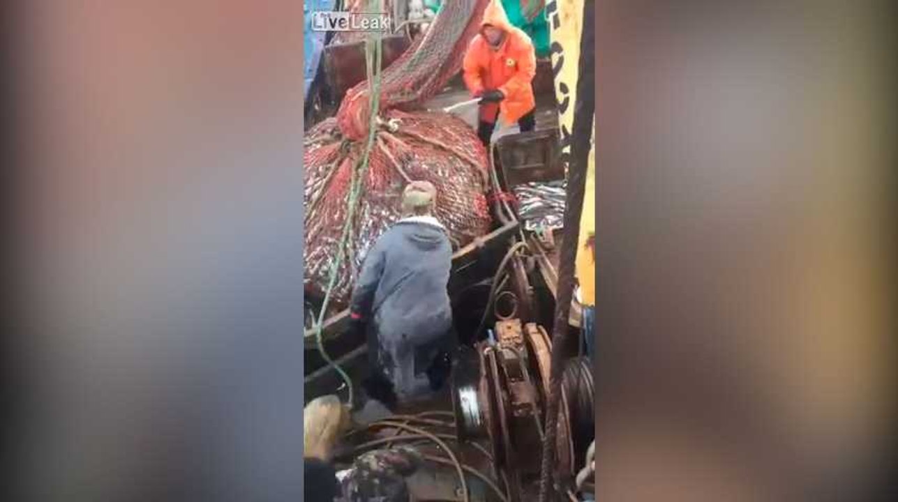 Il n'y avait pas que du poisson dans leurs filets de pêche...