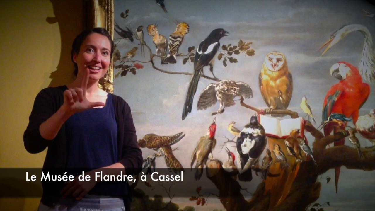 Visite en langue des signes au musée de Flandre