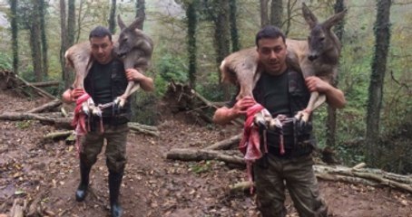 Yaralı Karacayı 3 Kilometre Omuzunda Taşıdı