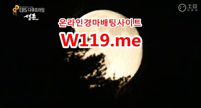 광명경륜 , 코리아레이스 《T119.ME》 경정출주표