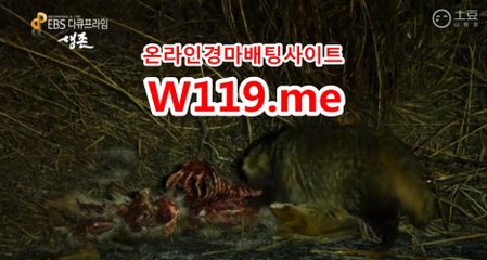 인터넷경마사이트 ↘T 119 . ME ↙ 일본경마사이트