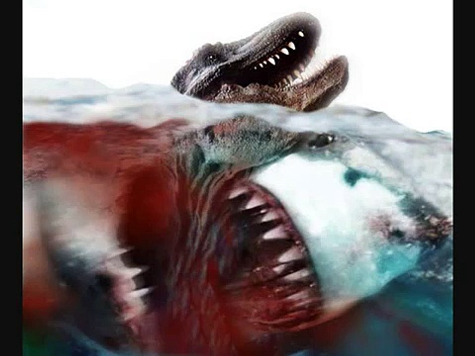 Megalodon Köpekbalığı
