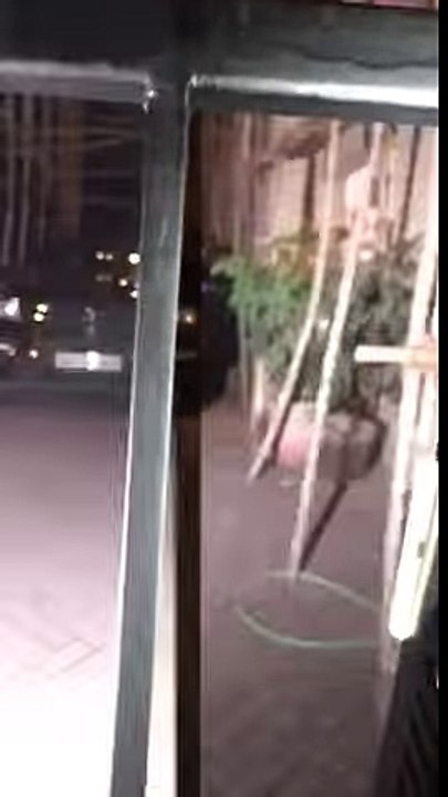 CAUGHT ON CAM: Arjun Kapoor Walking Out Of Malaika Arora's Building!