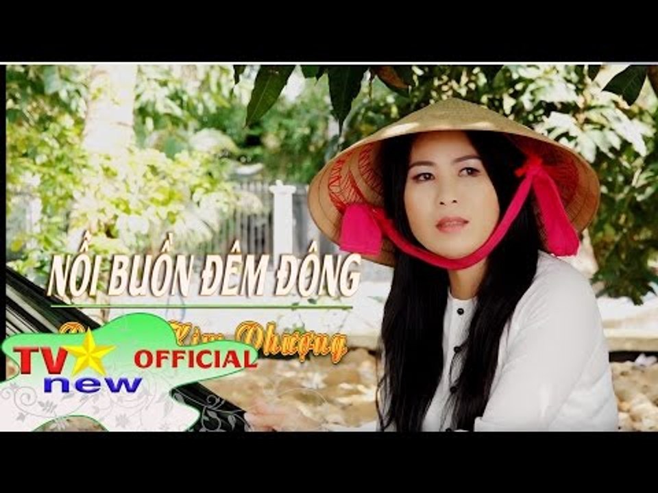 Nỗi buồn đêm đông - Dương Kim Phượng (Audio)