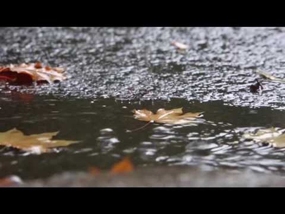 LED chuyen tinh 3 mua mua