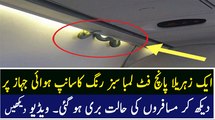 Snake on a Plane- Live Reptile Scares Passengers