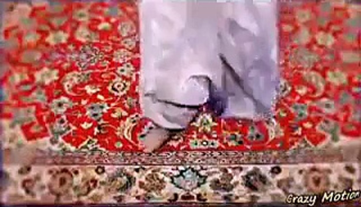 بنے گا نیا پاکستان ہا ہا ہا ☺