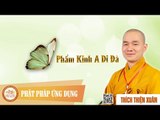 Phẩm Kinh A Di Đà - Pháp thoại thầy Thích Thiện Xuân