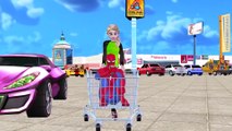 Spiderman Frozen Queen Elsa SpiderGirl Baby Hulk Shopping Cart Finger Family Nursery Rhymes_2