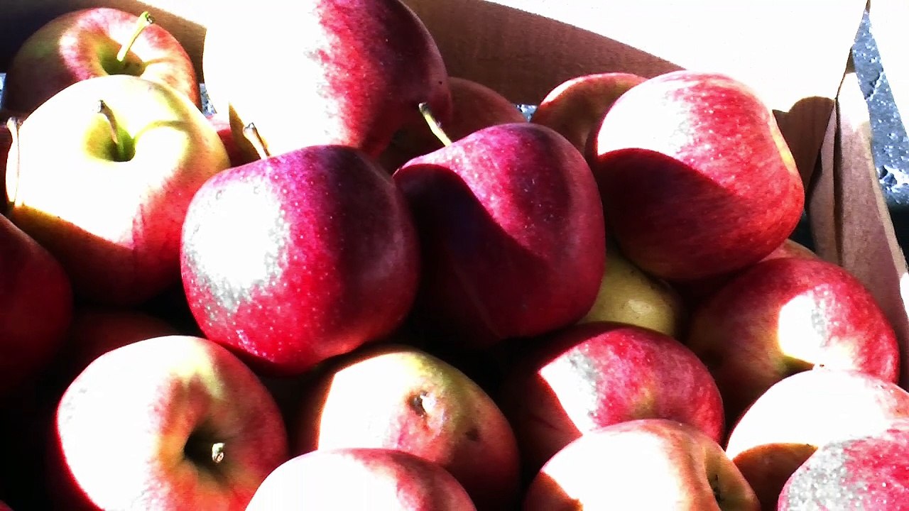 D!CI TV : Pommes à la récré dans plusieurs collèges du département.