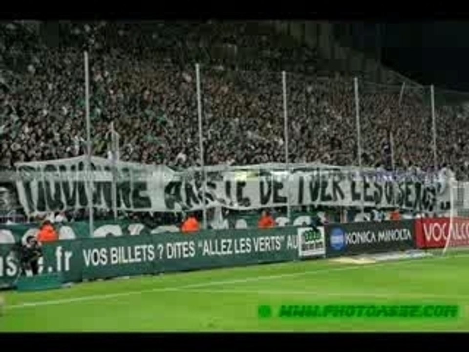 montage magic fans