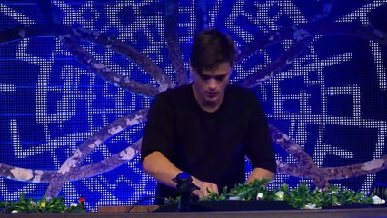 Tomorrowland Belgium 2016 - Martin Garrix_21