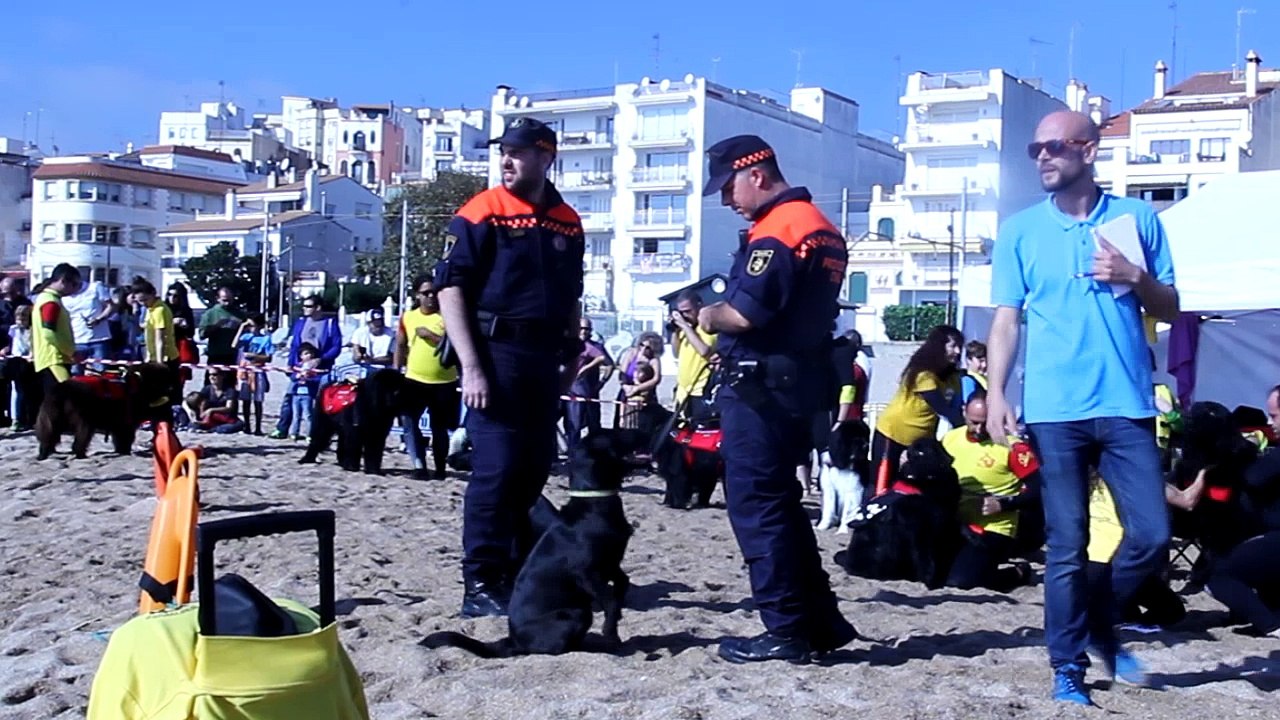 newfy1