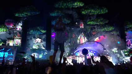 Tomorrowland Belgium 2016 - Martin Garrix_41