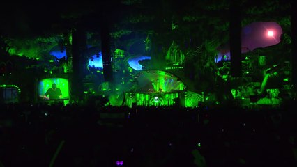 Tomorrowland Belgium 2016 - Martin Garrix_50