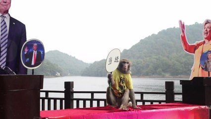 3 Things That Have Correctly Predicted The U.S. Election For Decades