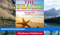 Big Deals  Children s Book About Beaches: A Kids Picture Book About Beaches With Photos and Fun