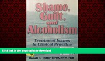 Buy book  Shame, Guilt, and Alcoholism: Treatment Issues in Clinical Practice (Addictions