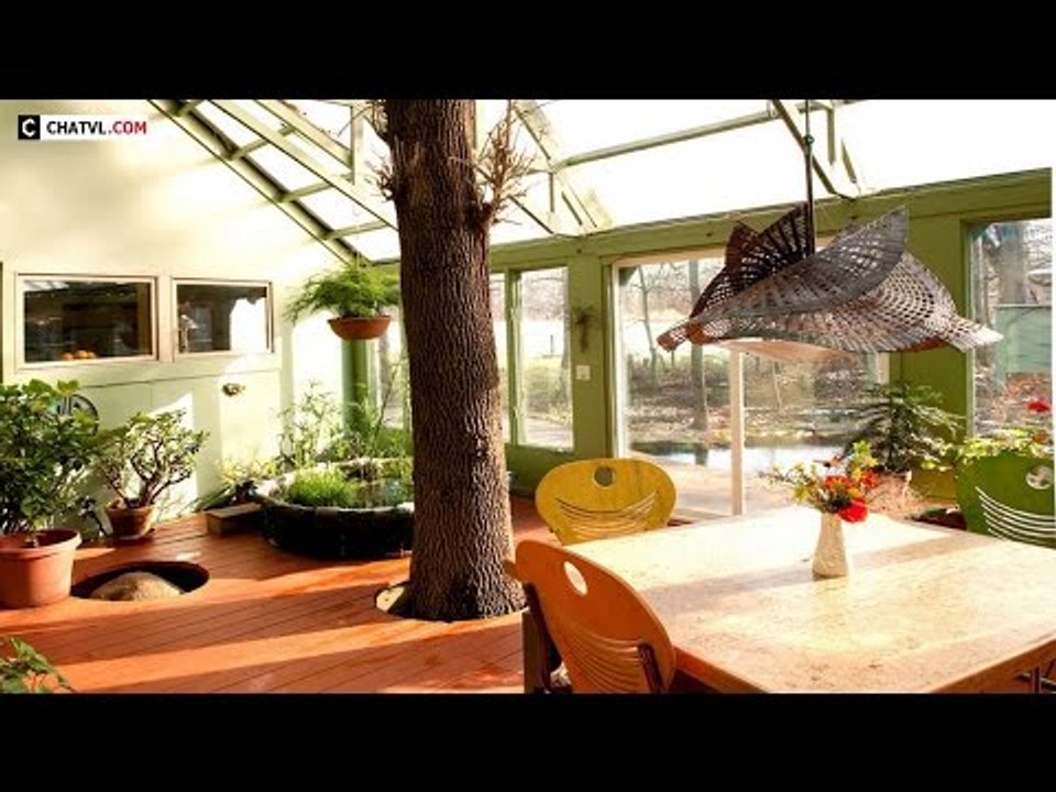 Top 20 ngôi nhà ôm cây đẹp đến ngỡ ngàng | Việt Vivu |