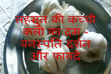लहसुन की कच्ची कली का दम Lahsun ki Kacchi Kali ka Dam