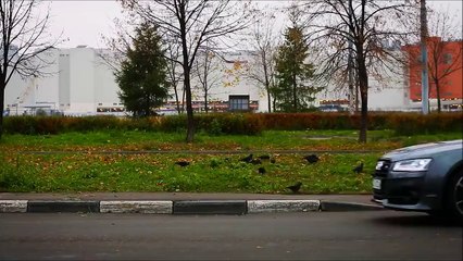 Farlar Muhteşem Olmuş ! Kesinlikle İzleyin Bizde Arabaya Biniyoruz Diyoruz -