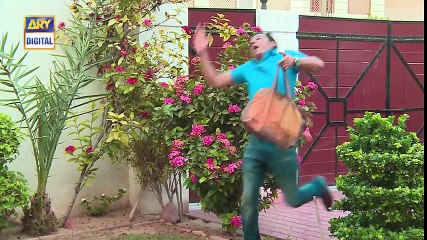 Bulbulay Ep 426 - 6th November 2016