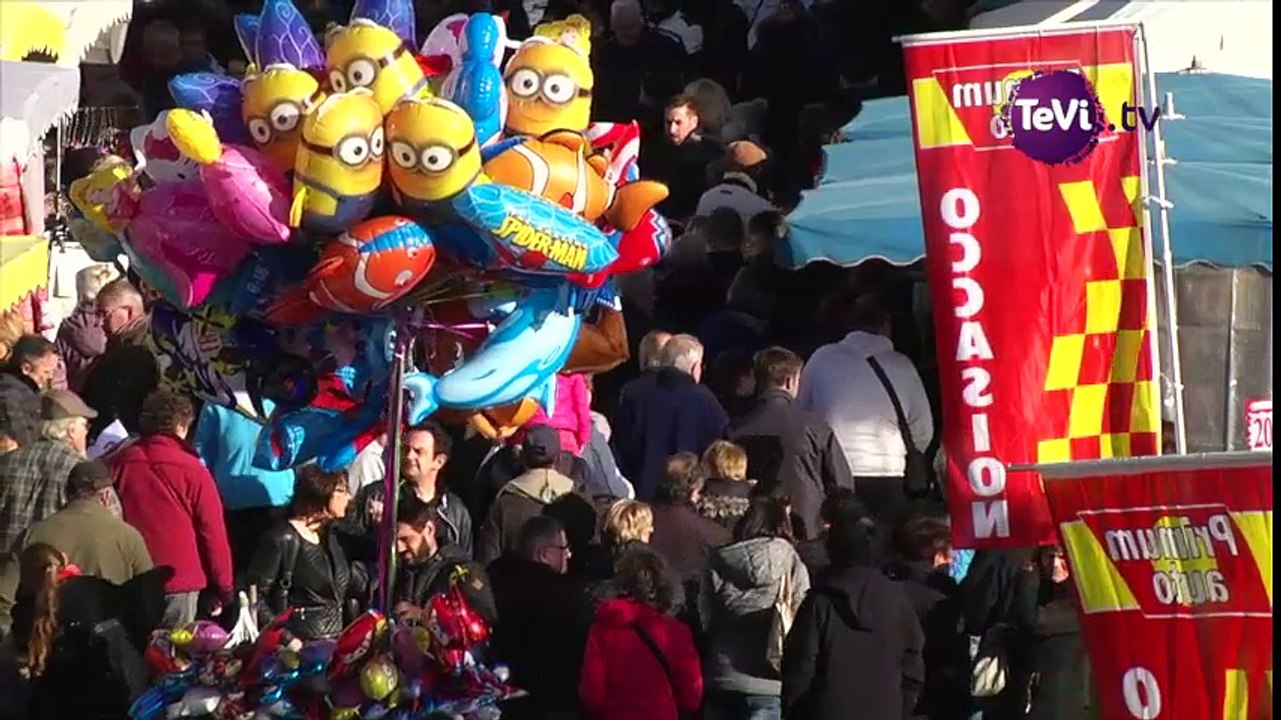 Foire St-Martin 2016 à St-Hilaire-du-Harcouet