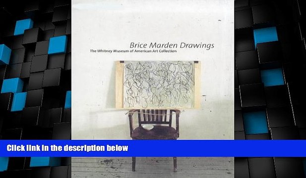 Big Deals Brice Marden Drawings (Whitney Museum of American Art Books) Best Seller Books Best