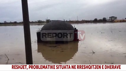 Report TV - Panariti: Reshje deri në fundjavë, të përgatitemi për situatë më kritike