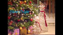 Silent night lyrics - Christmas carol - Christmas song new - piano and voice music