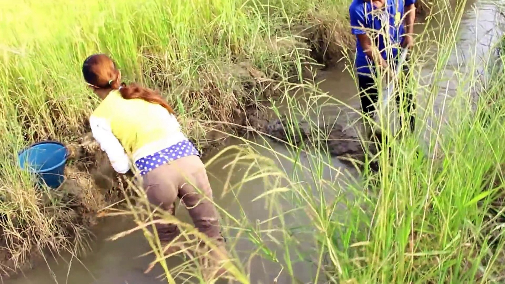 AMAZING Net Fishing - Traditional fishing 11