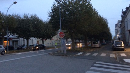 Effarouchement des étourneaux