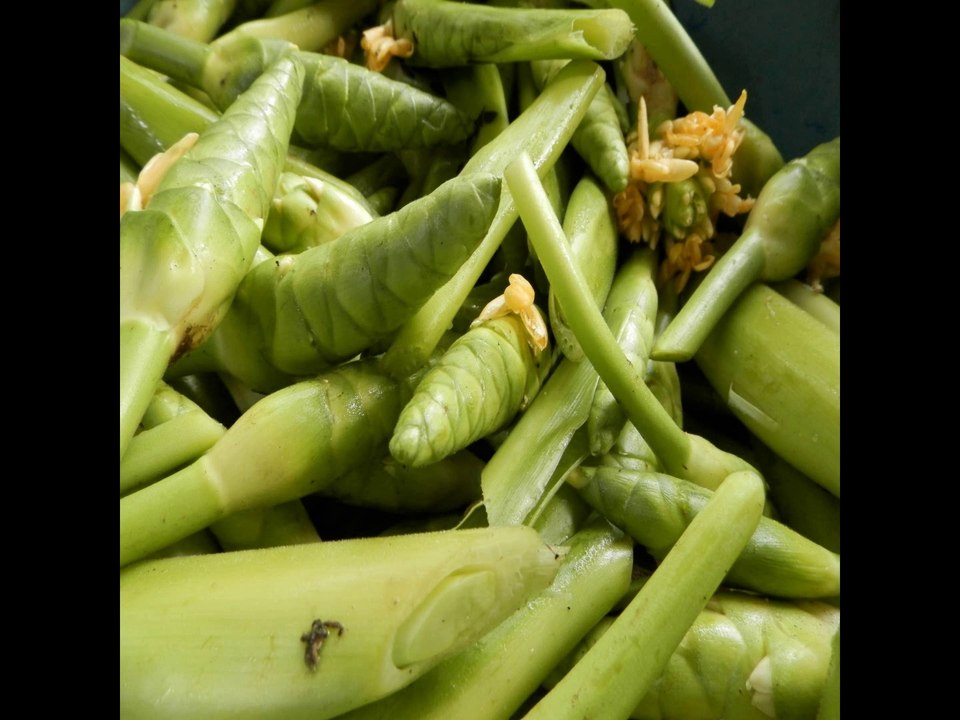 Chufles, exotic food from El Salvador - Vídeo Dailymotion