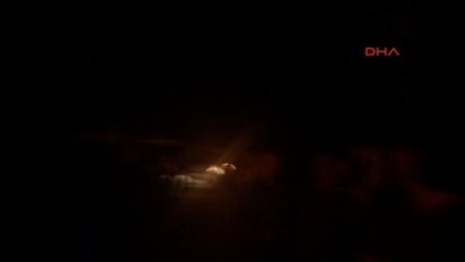 Riva'da 3 Katlı Bina Yandı, Çok Sayıda Hayvan Telef Oldu