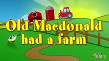 OLD MacDONALD HAD A FARM | Nursery Rhymes TV. Toddler Kindergarten Preschool Baby Songs.