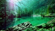 Beautiful nature - FREE Video Background Loops HD