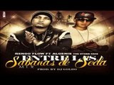 ENTRE LAS SABANAS DE SEDA NENGO FLOW FT ALGENIS THE OTHER FACE (MIX BY DJ GOLDO) NEW 2013