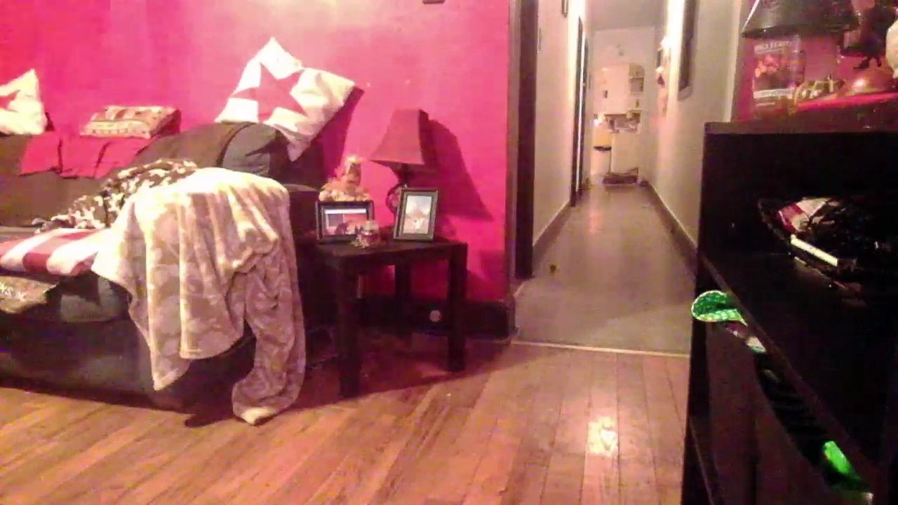 Cat cam returns! (13)